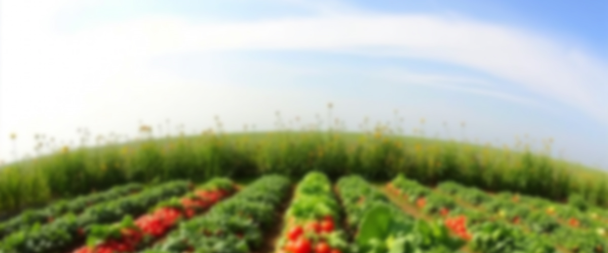 OJHA del Campo - Frutas y Fletes